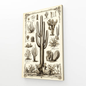 Vintage Cactus Wall Art