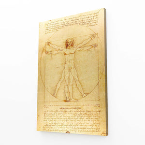 Vitrus Leonard Da Vinci
