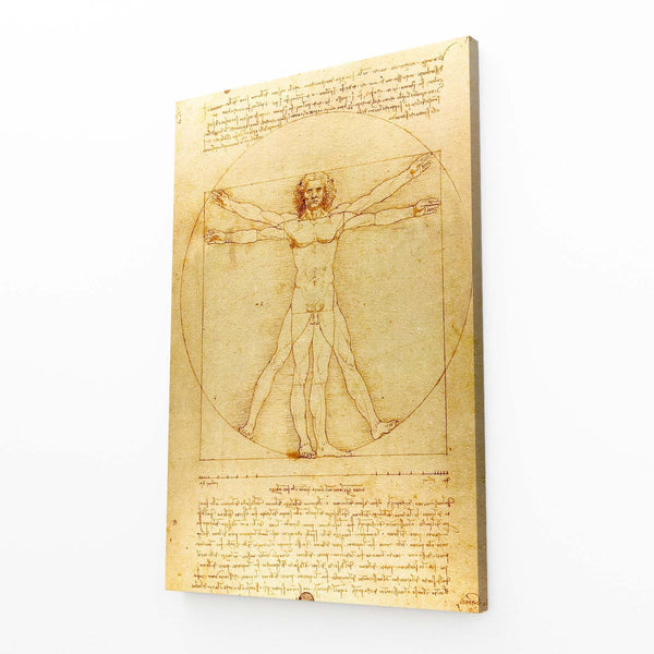 Vitrus Leonard Da Vinci