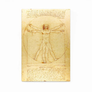 Vitrus Leonard Da Vinci