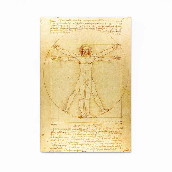 Vitrus Leonard Da Vinci