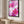 Vivid pink cherry blossom canvas in a black frame in a bright dressing corner | MusaArtGallery