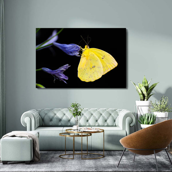Wall Art Butterfly Design | MusaArtGallery™