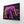 Wall Art Elephant | MusaArtGallery™