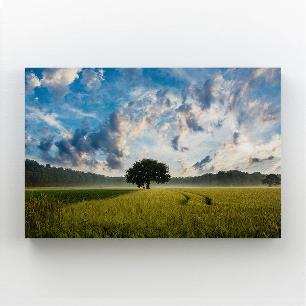 Wall Art Nature Scenes | MusaArtGallery™