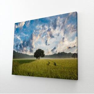 Wall Art Nature Scenes | MusaArtGallery™