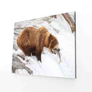 Water Fall Bear Wall Art