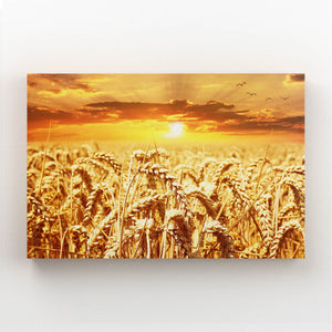 Wheat Fields Sunset Art  | MusaArtGallery™