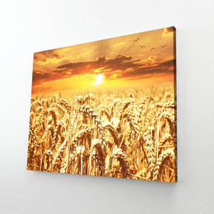 Wheat Fields Sunset Art  | MusaArtGallery™