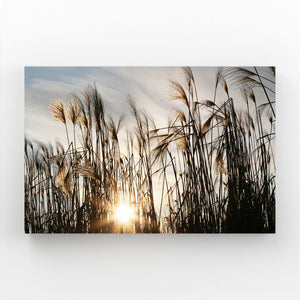 Whispering Reeds Sunset Art | MusaArtGallery™