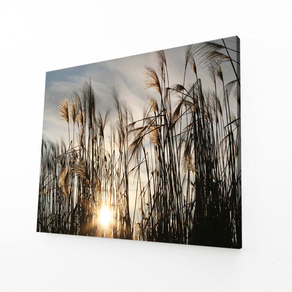 Whispering Reeds Sunset Art | MusaArtGallery™