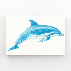 White Blue Dolphin Art