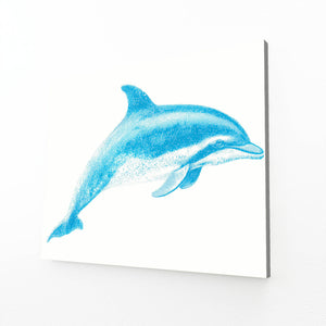 White Blue Dolphin Art