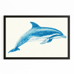White Blue Dolphin Art