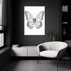 White Butterfly Wall Art | MusaArtGallery™