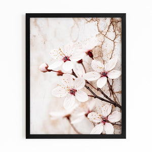 White Cherry Blossom Flower Art