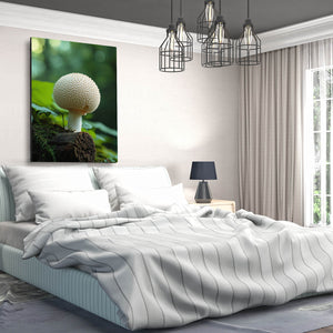 White Cute Mushroom Art | MusaArtGallery™