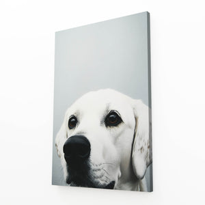 White Dog Wall Art