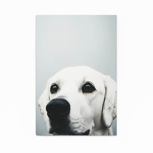 White Dog Wall Art