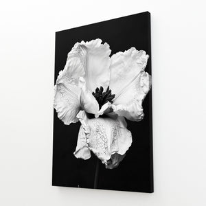 White Flower Wall Art