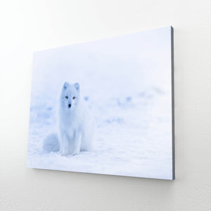 White Fox Art | MusaArtGallery™