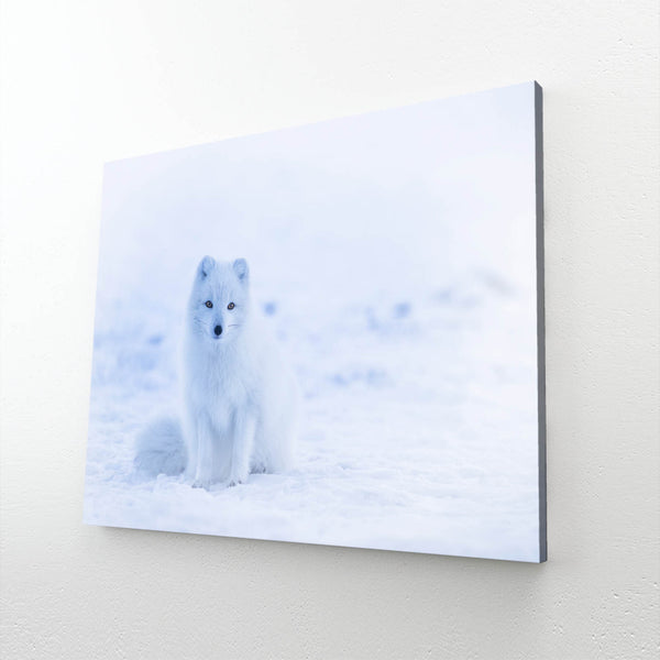 White Fox Art | MusaArtGallery™