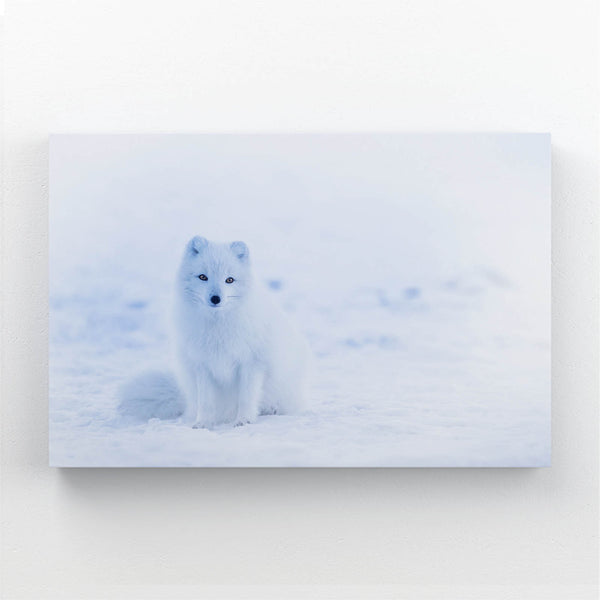 White Fox Art | MusaArtGallery™