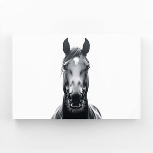 White Horse Wall Art