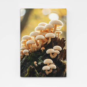 White Mushroom Art | MusaArtGallery™