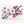 White Pink Cherry Blossom Flower Art