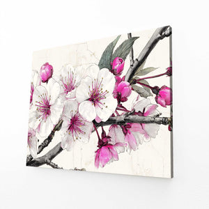 White Pink Cherry Blossom Flower Art