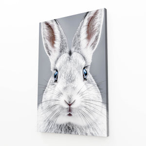 White Rabbit Wall Decor