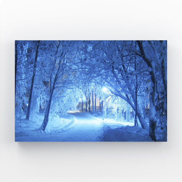 Winter Glow Tree Art | MusaArtGallery™