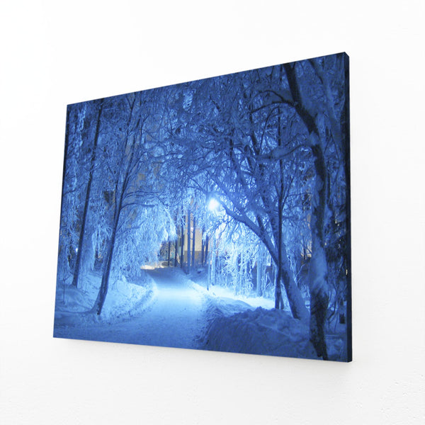 Winter Glow Tree Art | MusaArtGallery™