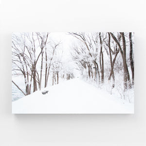 Winter Path Tree Art | MusaArtGallery™