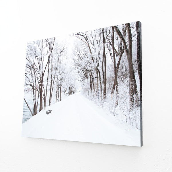 Winter Path Tree Art | MusaArtGallery™