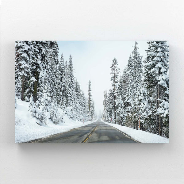 Winter Road Tree Art | MusaArtGallery™