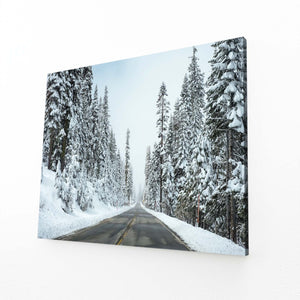 Winter Road Tree Art | MusaArtGallery™