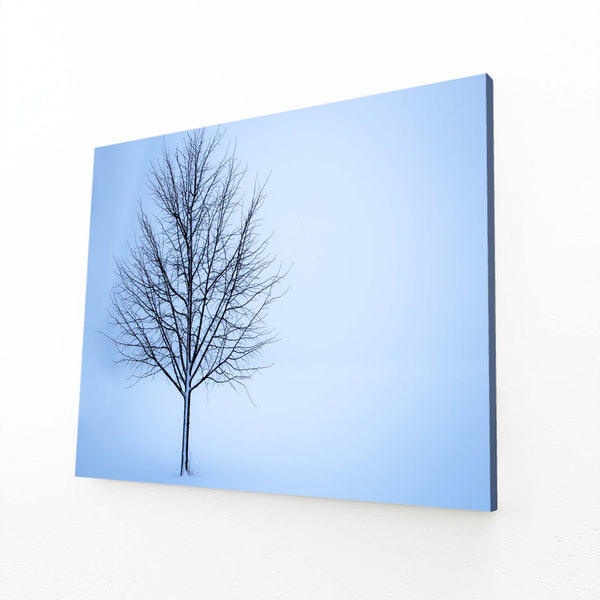 Winter Silence Tree Art | MusaArtGallery™