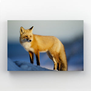 Winters Fox Art  | MusaArtGallery™