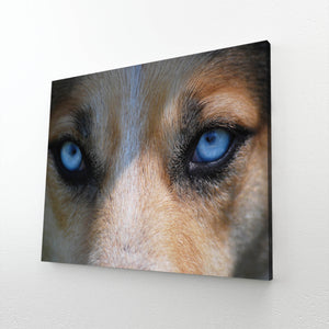  Wolf Eyes Art   | MusaArtGallery™