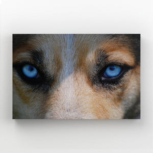  Wolf Eyes Art   | MusaArtGallery™
