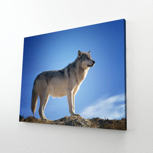  Wolf Leader Canvas Art   | MusaArtGallery™