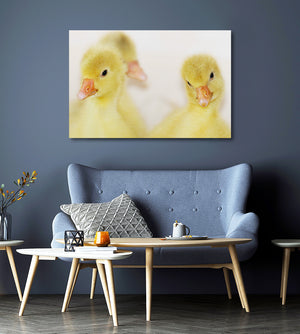 Yellow Bird Wall Art| MusaArtGallery™