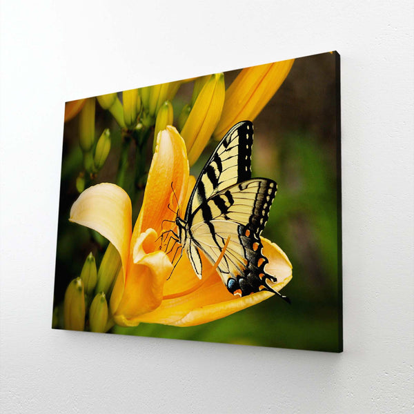 Yellow Butterfly Wall Arts | MusaArtGallery™