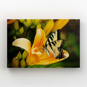Yellow Butterfly Wall Arts | MusaArtGallery™