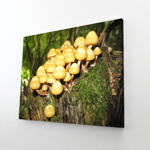 Yellow Mushroom Art | MusaArtGallery™