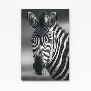 Zebra Art Black And White
