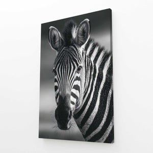 Zebra Art Black And White