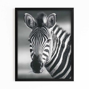 Zebra Art Black And White